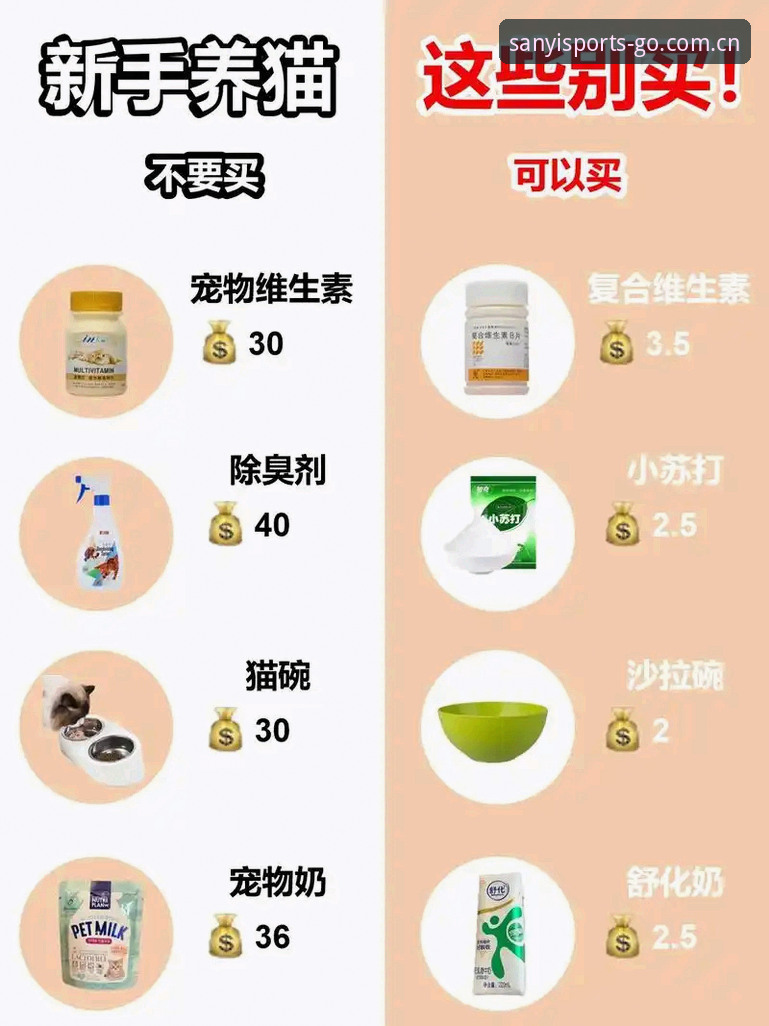 揭秘三亿体育网址入口电竞赛程功能详解：那些你踩过的坑，我都替你试过了